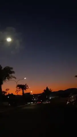 تعرف كلبي شكد يحبك  بكد حجم الحنيه بكلبك  ويجوز اكثر  #ياسر_اياد #تعرف_كلبي #تصويري_احترافي_الاجواء👌🏻🕊😴 #اكسبولوررررر #تصميمي 