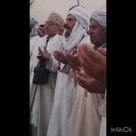 شيخ الحاج حمو الطيب  زاية البوشخية بعين سخونة ولاية سعيدة #دولة_الصالحين 