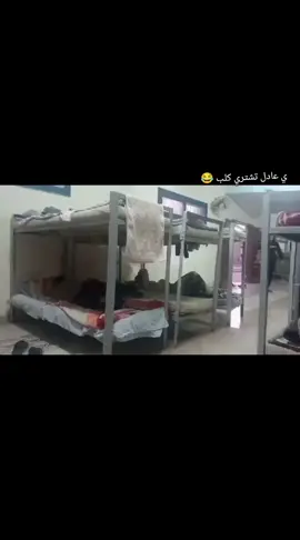 #الشعب_الصيني_ماله_حل😂😂  يا عادل تشتري كلب 😂😂 @El_t7wel_🦝❌ @تيتو 🫐🫐 