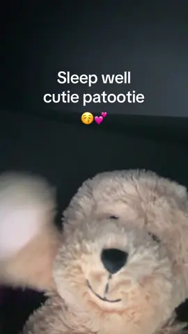 😴#goodnight #teddybear  #cute #sendthistoafriend 