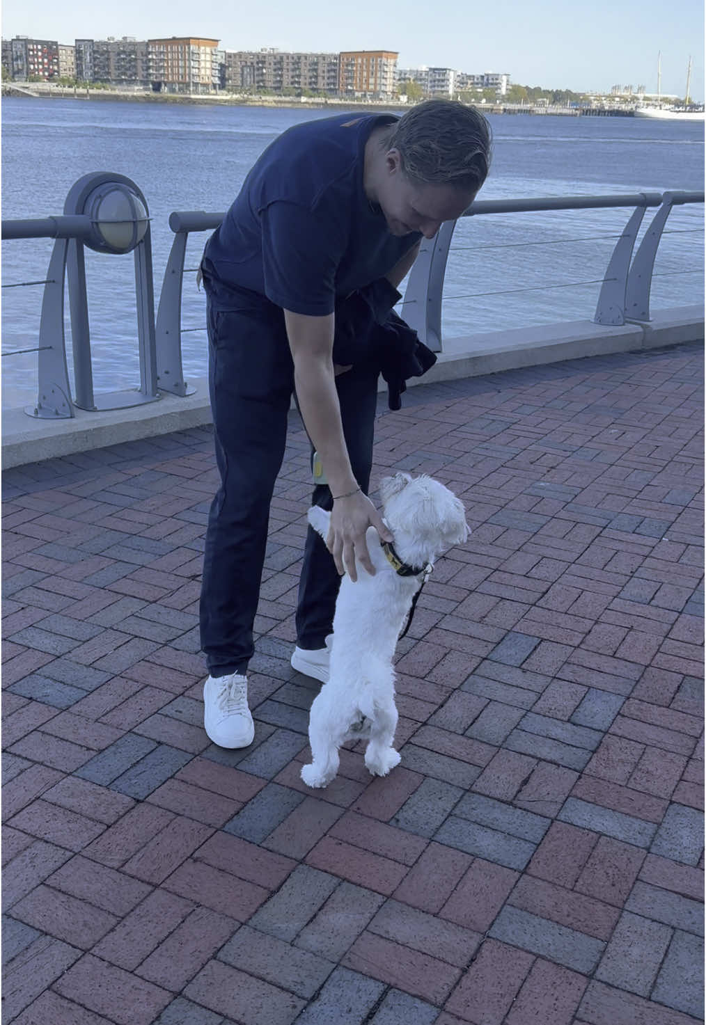 Some hockey dudes and their dogs 🐶 📸 
