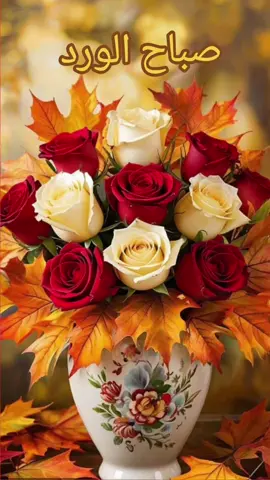 #صباحكم_سعادة_لاتنتهي ##صباح_الخير_والمحبه_جمعه_مباركه #اصبحنا_واصبح_الملك_لله__صباح_الخير❤✋🏻 #صباحكم_أحلى_صباح 