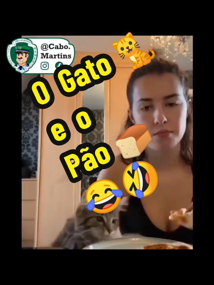 ladrão de pão 🍞 😂🤣 #tobyasanacleto  #gato #pão #roubo #animais 