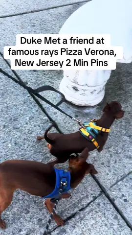 #fyp #🤌🤌❤️❤️❤️❤️😁😁😁 #irishitailanstallion 