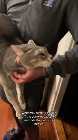 home workouts #yoink #catmom #catlife #catsoftiktok #cat 