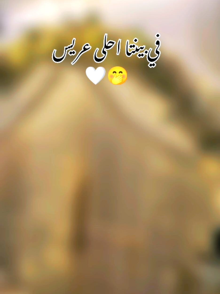 #ترقبوا_اول بأول🤍🤭#مرت اخ العريس🤍😌#تصويري_احترافي_الاجواء👌🏻🕊😴 #تصميمي🎬 #الحمدلله_دائماً_وابداً🤍🥹🦋 