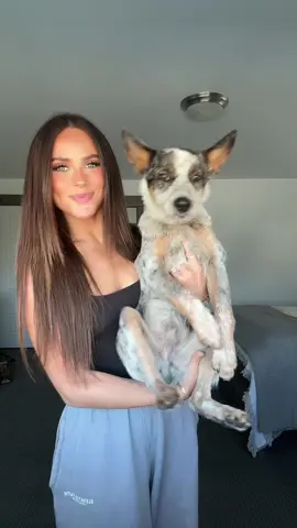 Don’t mind the lint on my shirt 