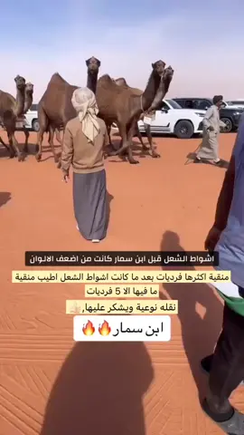 #ابن_سمار #عتيبه #سمارات #الشعل #مهيوبات 