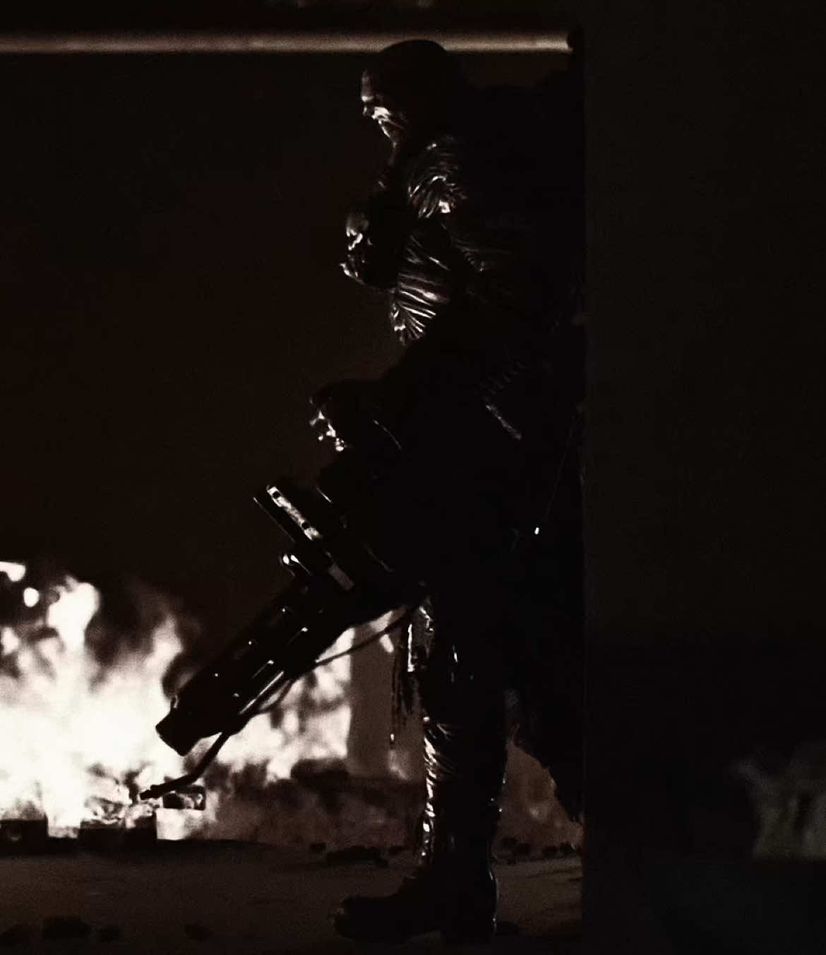 Raccoon city’s biggest menaces #fyp #foryoupage #residentevil #tyrant #nemesis 