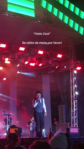 Melhor show da vida!❤️ #fyp #foryou #sertanejo #zezedicamargo 