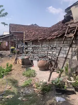 #galaubrutal 