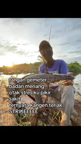 🤣#mancingliar #promoseruweekend #cestinggabus #promomakangajian 