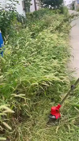 🌱 Chega de sofrer para cortar a grama! Essa roçadeira elétrica 1580w com bateria 24V é leve, potente e super prática. 🚀 👉 Adeus fios embolados e máquinas pesadas, agora você tem liberdade total para deixar seu quintal sempre limpo e bonito. ✅ Potência de sobra ✅ Duas baterias recarregáveis ✅ Lâminas para todo tipo de corte Clique no carrinho laranja e receba no conforto da sua casa! 🛒✨ #OfertasTikTok #CasaOrganizada #JardimPerfeito #DicasDeCasa #Promoção