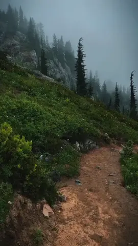 #nostalgia #ambiente #paratodoelmundo🌎 