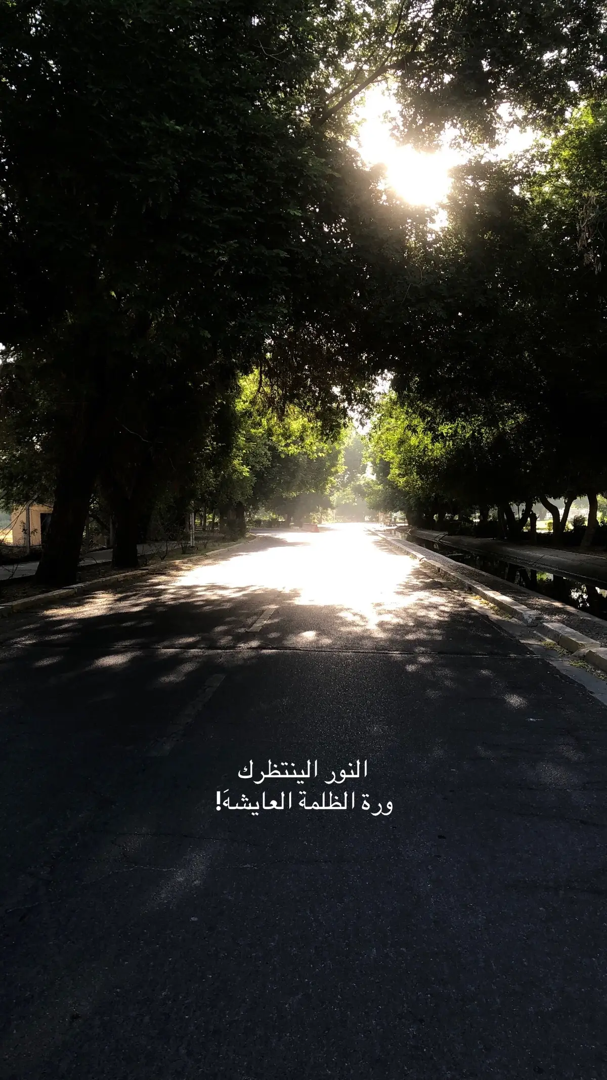 #جامعة_بغداد 