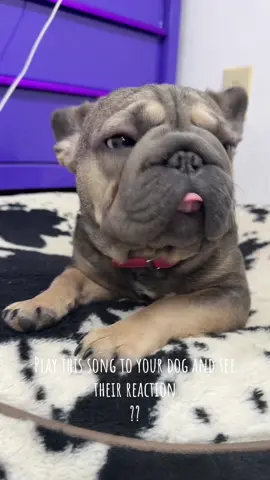 She’s so sick of my shit today 😂😂😂