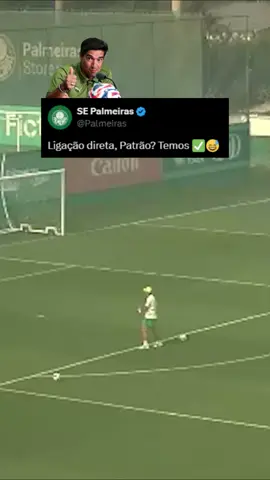 ABEL TÁ ESBANJANDO CATEGORIA!!! O treinador do Palmeiras foi 'flagrado' chutando bolas no travessão depois do treinamento e mostrou que a pontaria segue em dia! 🎥: Reprodução / Palmeiras #Palmeiras #AbelFerreira #desafio #travessão #TikTokEsportes