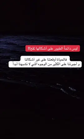 ليس دائما الطيور على اشكالها تقع ❤️‍🩹 #fyp #اكسبلورexplore 