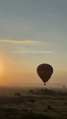 New core memory unlocked: flying above the Mara 🦓 🎈#honeymoon #safari #masaimara 