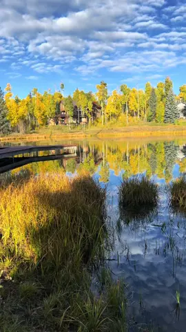 Telluride 💙 🍁🍂🌲 #mountainlover #liveyourlife #fypage #neverstopexploring 
