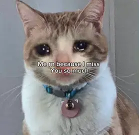 Imissyouu☹️ #fyppppppppppppppppppppppp #missyou #viral 