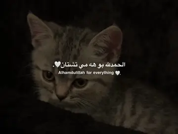 Alhamdulillah 🤎 #alhamdulillah #الحمدالله_علی_کل_حال❤ #اللهم_صلي_على_نبينا_محمد #صلوا_على_رسول_الله #hazh4rr 