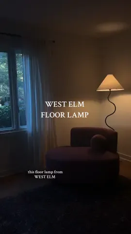obsessed w my new zig zag lamp from @West Elm  #westelm #zigzag #floorlamp #lamp 