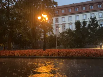october rain #nature #october #girlinred #autumn #rainyday 