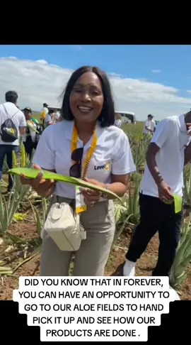 #foreverlivingbykarabo1 #foreverlivingproducts #creatorsearchinsights 