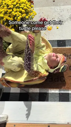Drop advice… turtle parenting is hard. #MomsofTikTok #boymom #turtletok #fyp #foryoupage 