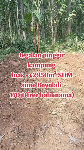 tanah murah #tegalan #pekarangan #sawah #fyp  #boyolali24jam 