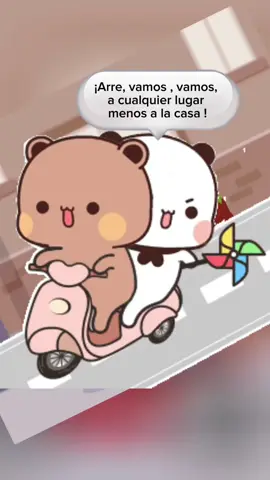 Si tienes una osita igual a la mía, que no se te olvide tu licencia ni tus cascos