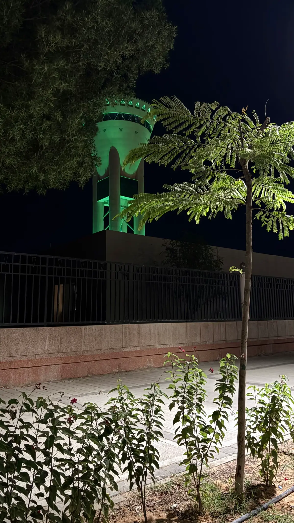 #تبوك #اكسبلور؟ 