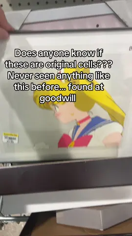 Any sailor moon fans confirm?? UPDATE ALL OF THEM WERE PURCHASED BY ME AND ARE GOING TO A GOOD FRIEND AND COLLECTOR FOR CONSERVATISM :) thank you @Dare Bear #sailormoon #sailormooncosplay #sailormoonfan 