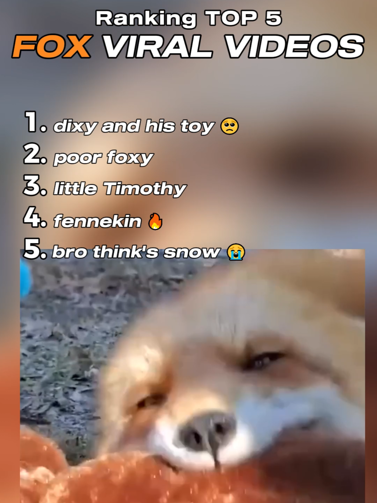 Funny Fox Viral Clips! 🦊 #fox #funny #clips #animals #foxy 