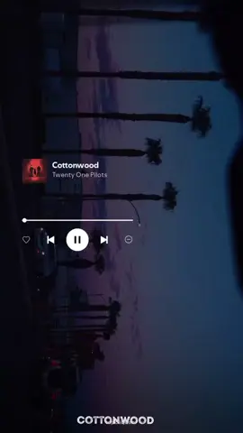 #fppppppppppppppppppppppp #twentyonepilots #traduçãodemusica #foryoupage 