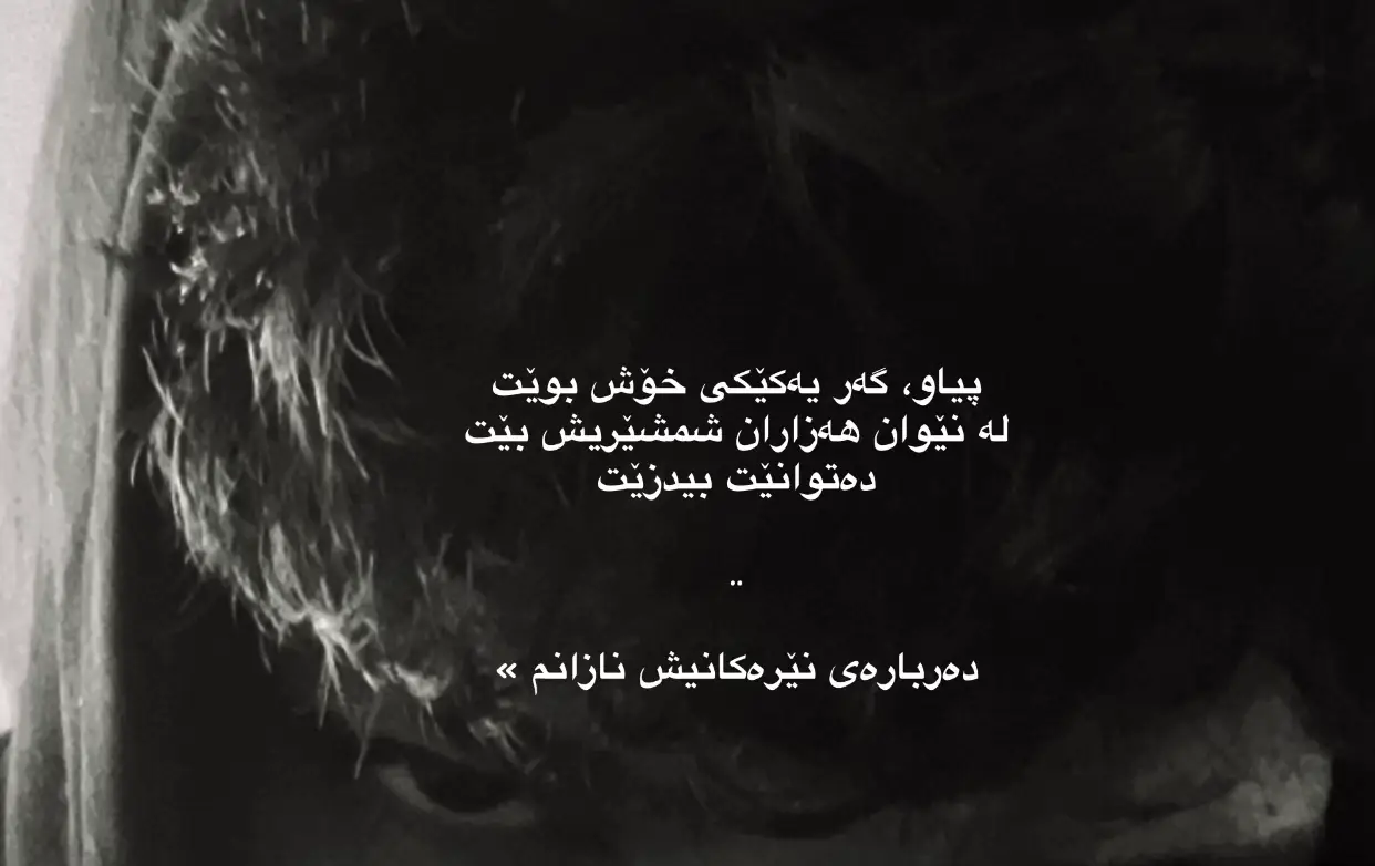 #tafo13     #foryou     #وتە     #actives?      #tafoysound13 