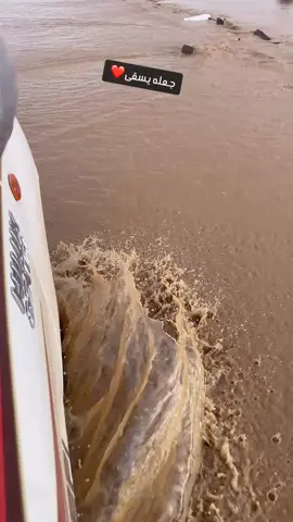 #رنيه #جعله يسقى#قديمك_نديمك #