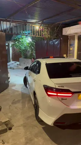 White Beauty MashaAllah 🤍