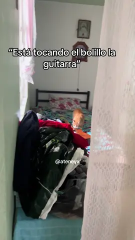 #gato #gatito #gatos #cat #humor 