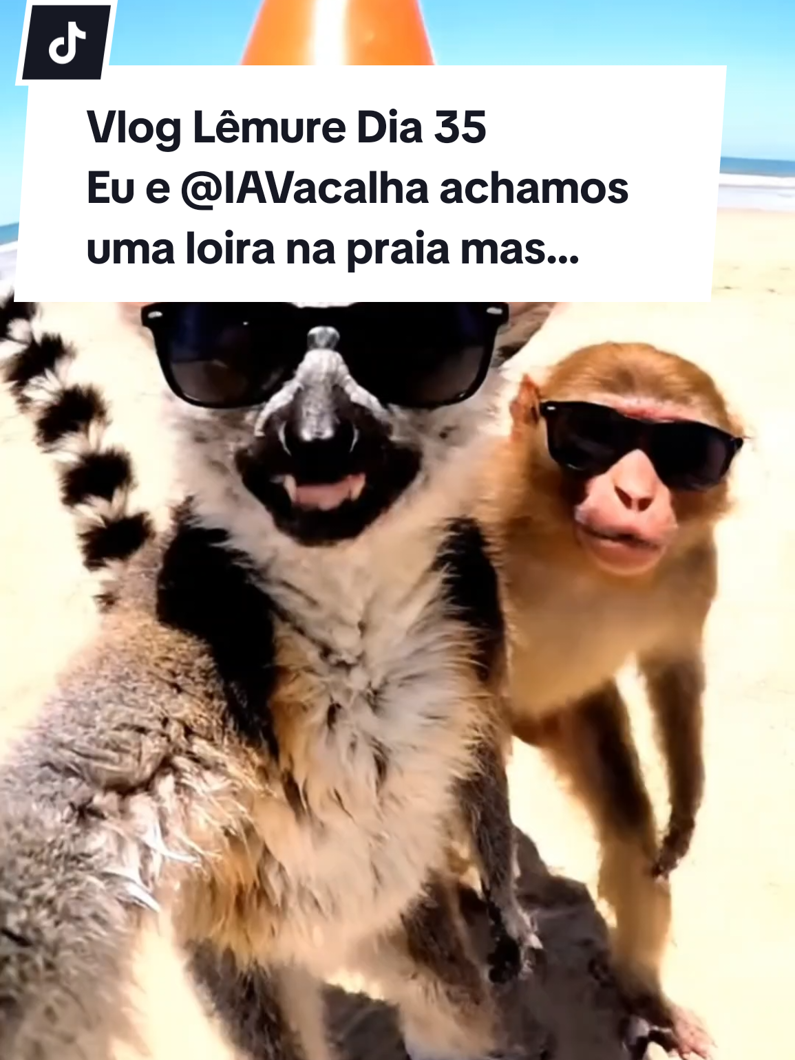 Achamos uma loira na praia mas... @IAvacalha #humor #zoeirabr #comediabr #plottwistbr 