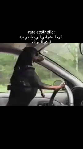 #foryou #trending #السعودية #سواقه 