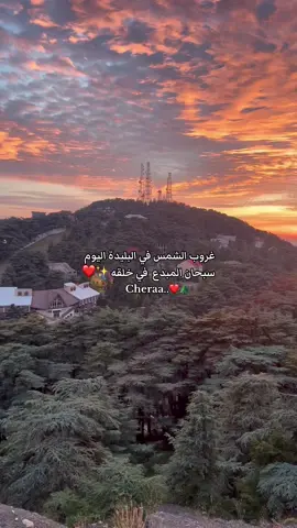 😍🌲#fypシ゚viral #chri3a_blida #الشعب_الصيني_ماله_حل😂😂 #شريعة #fyppppppppppppppppppppppp #58ولايةتحياتنا_اتهلاو_ليزوم💜🙈 #blida09_tiktok_algérie❤️🇩🇿 #algeria #الجزائر #غروب_الشمس #تصميم_فيديوهات🎶🎤🎬 #تصويري #غروب_الشمس_تصويري #tranding #58ولاية #foryoupage #oren 