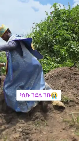 አካውንት 1000710206795 የላካችሁበትን ደረሰኝና ስመ ክርስትናችሁን ከታች ባሉት ስልኮች ላኩልን የአስተዳዳሪው ስልክ 0946514858 getenet oficall 0906742275 ረቂቅ ሚድያ 0938647212