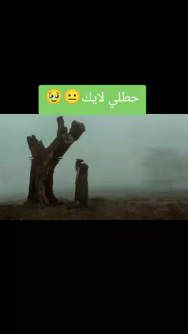 #احبكم_يا_احلى_متابعين #احبكم_يا_احلى_متابعين اك#