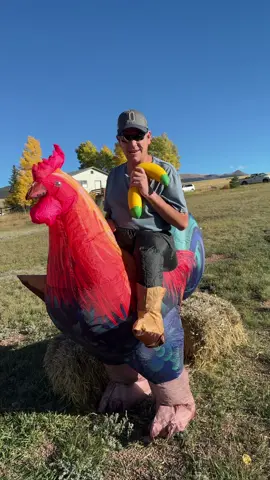 @🌸AshleyB🌸 #rooster #costume #halloween #halloweencostumes #chicken 