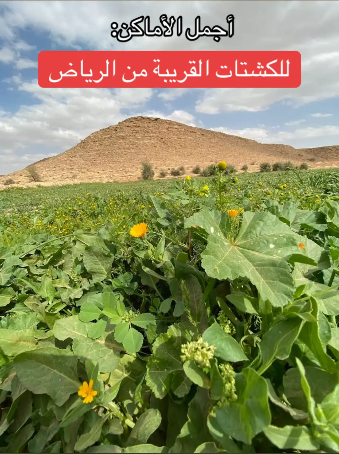 #كشتات_الشتاء #اماكن_الرياض #كشته_طلعه_بر_وناسه #كشته_مابها_نفس_ثقيله 