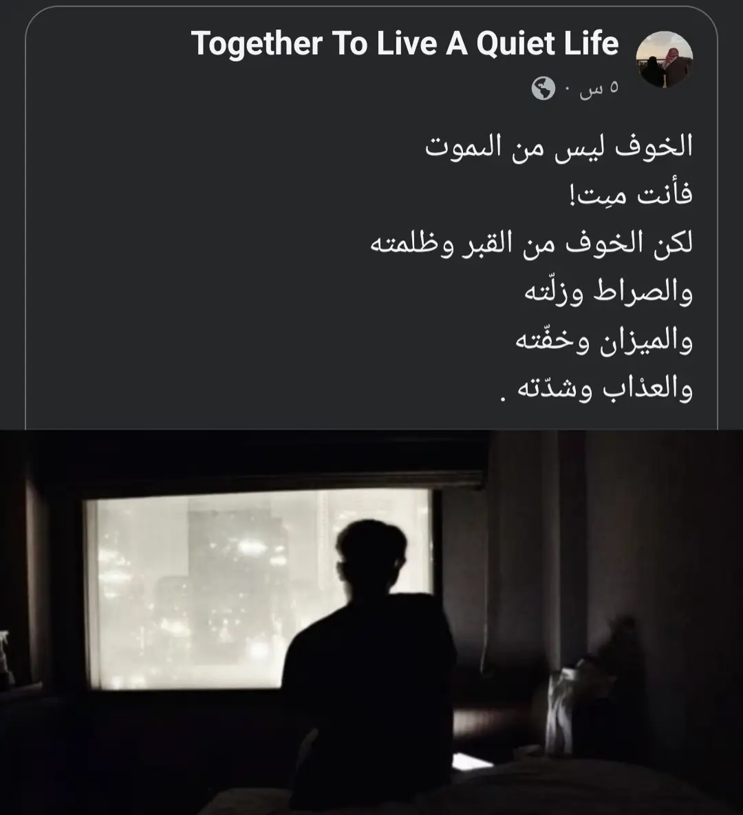 #هدوء_الليل #قران_كريم #محمد_عمران #fyp 