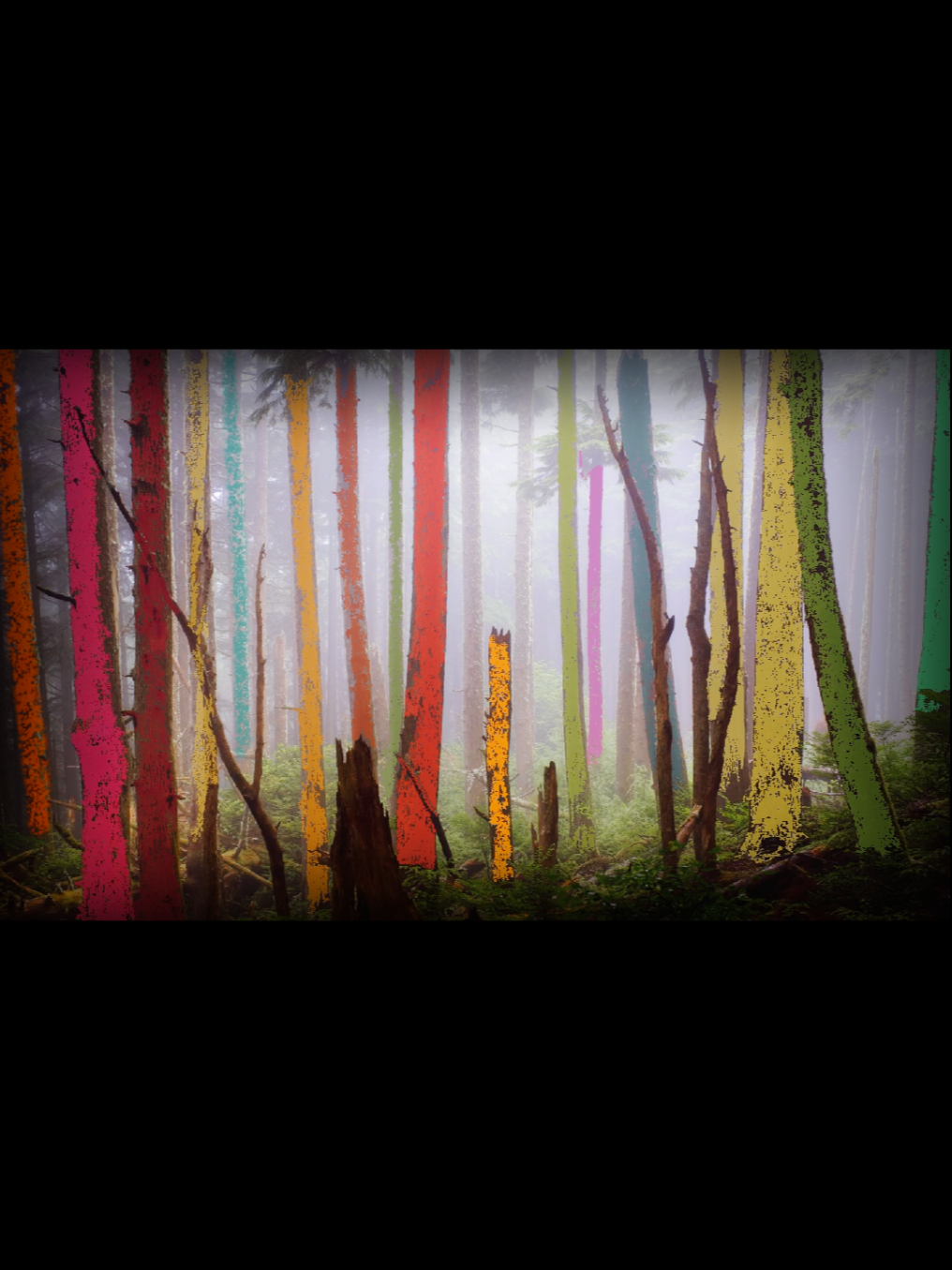 Had this idea in my head for a while #wriggle #whimsical #forest #woods #animation 