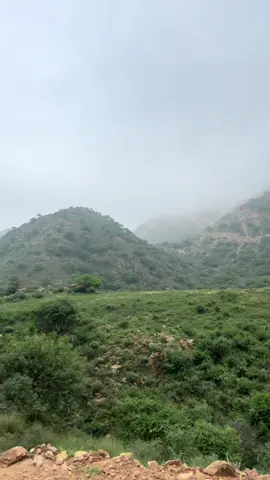 #لاتخاف_الله_معنا#حسابي_ديني_ادخل_ولعلك_تستفيد❤️ #you 